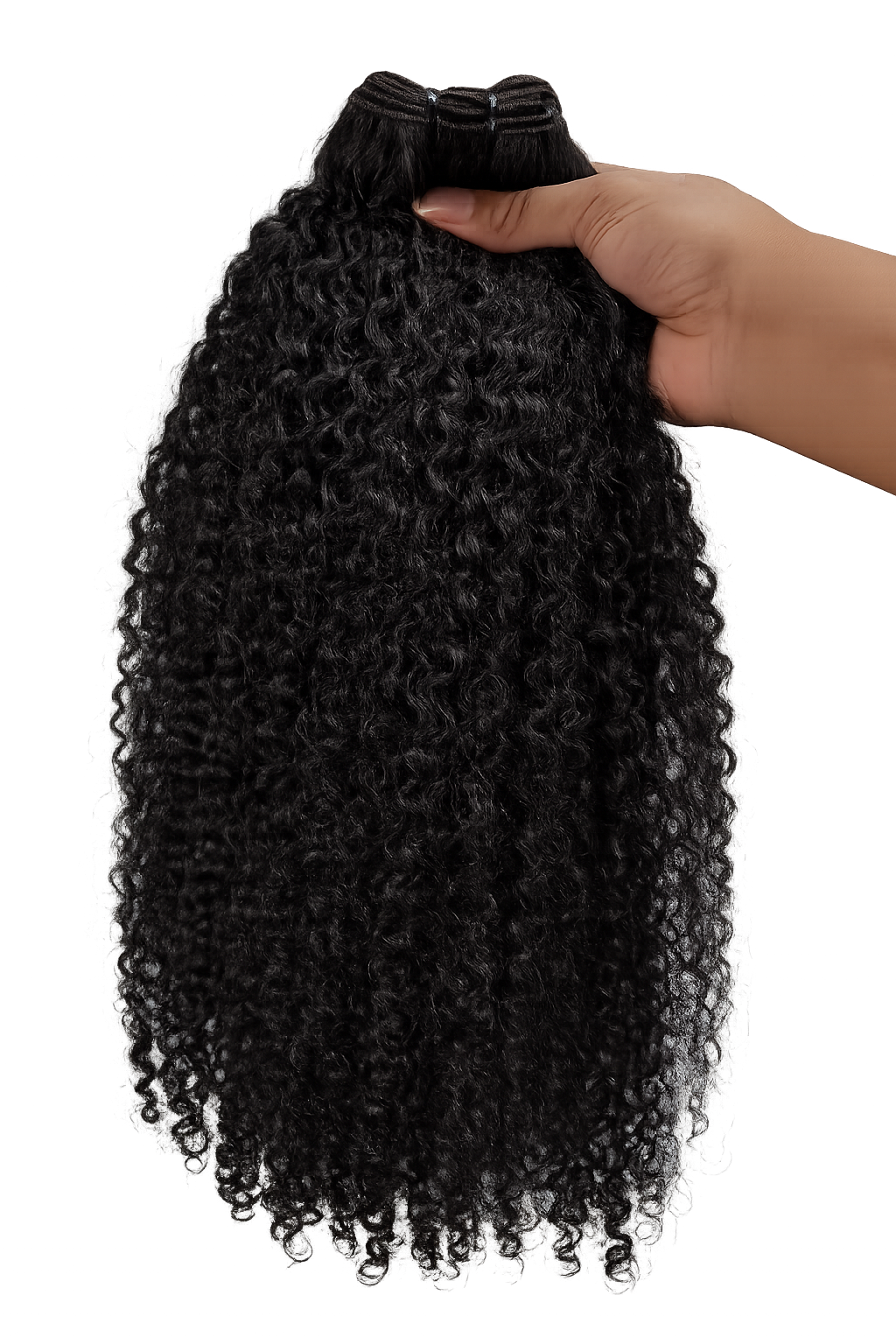 Textured Burmese Curly