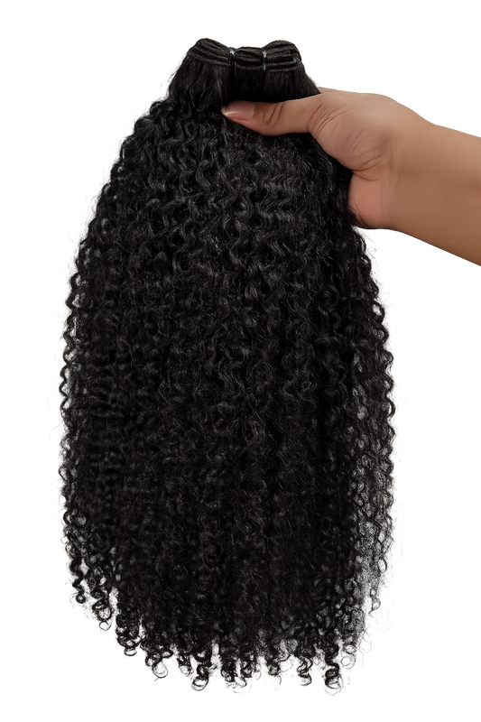 Textured Burmese Curly